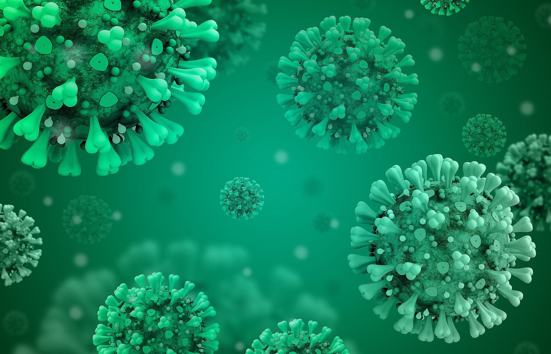 Coronavirus Coronavirus